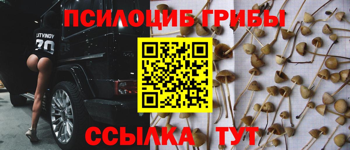 Сердобск  Галлюциногенные грибы ЛСД  Вход с VPN 
