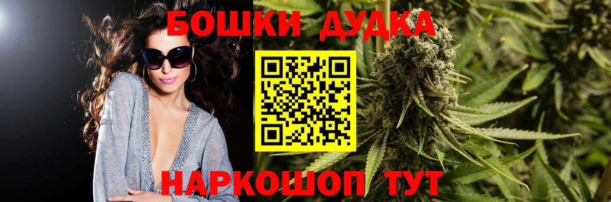 Бошки Шишки планчик Сердобск